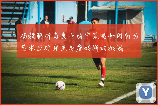 杨毅解析乌度卡防守策略如同行为艺术应对库里与詹姆斯的挑战