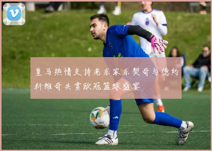 皇马热情支持老东家东契奇与德约科维奇共赏欧冠篮球盛宴